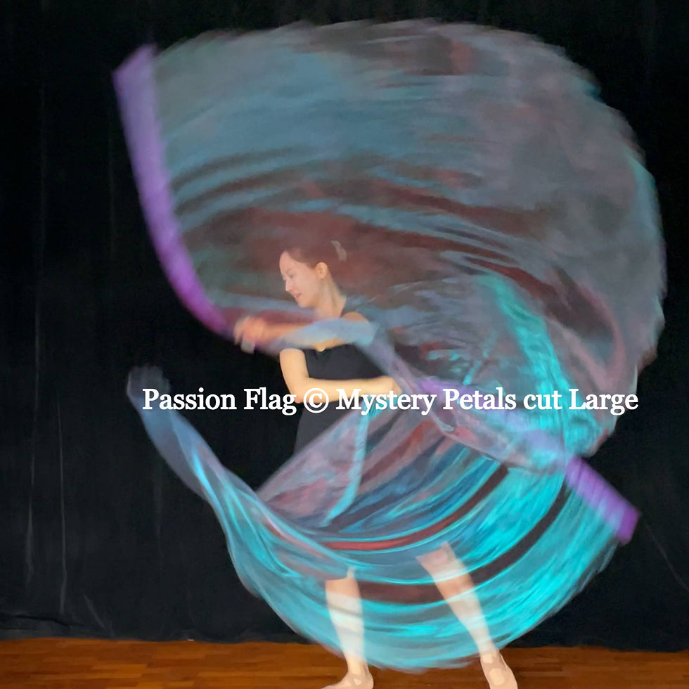 Thumbnail: Passion Flag Mystery dual tone organza Petals cut Large flags praise and worship flags and banners