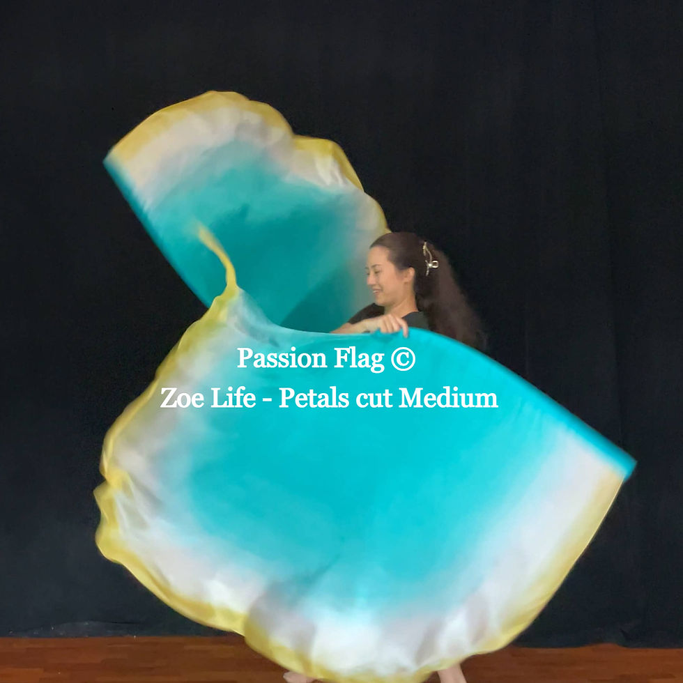 Thumbnail: Passion Flag Zoe Life of God worship flags silk
