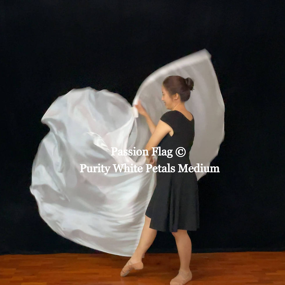 Thumbnail: Flag Purity White Petals silk flags praise and worship flags and banners praise dance