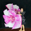 Thumbnail: Orchid - Blossom cutting single layered silk flags Passion Flag Worship Flag