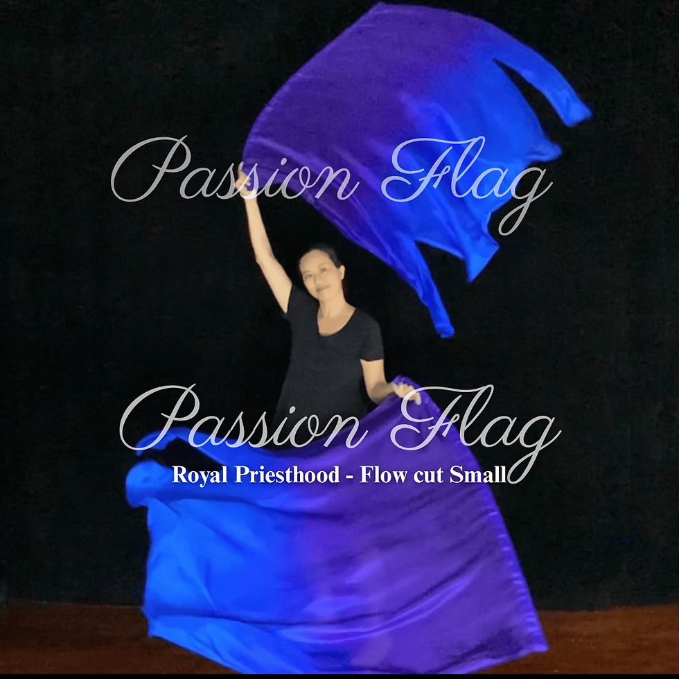 Passion Flag - Royal Priesthood - Hand dyed silk praise and worship flags and banners Praise Dance