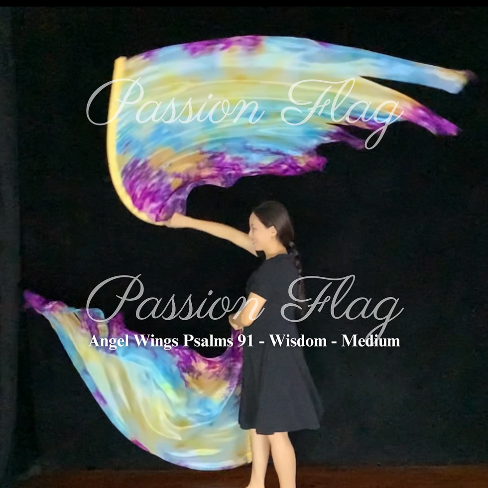 Thumbnail: Passion Flag Angel Wings Psalms 91 Wisdom Single Layer silk flags
