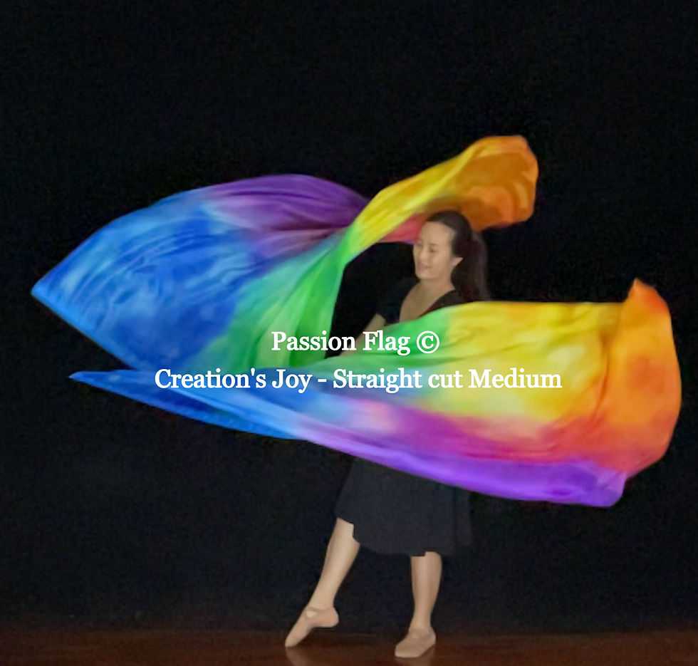 Passion Flag - Creation's joy - Hand painted silk praise and worship flags and banners Praise Dance