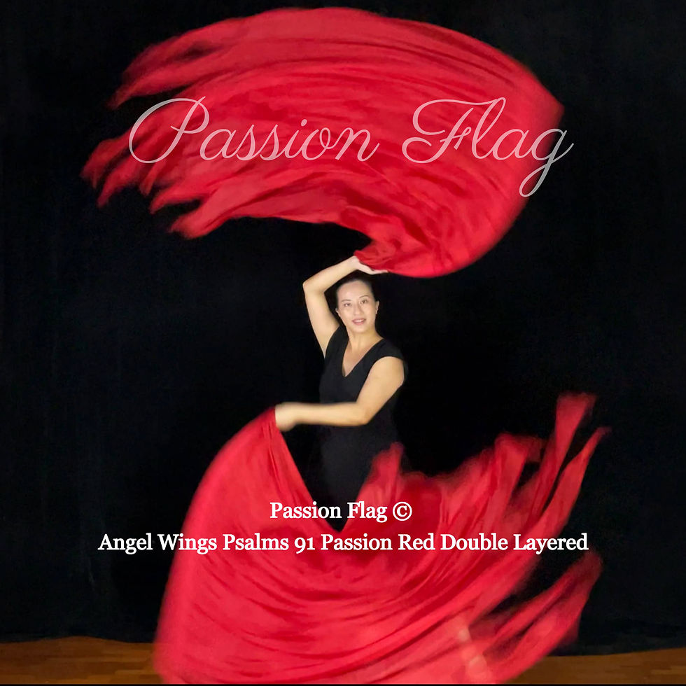 Passion Flag - Angel Wings Psalms 91 Passion Red – Double Layered silk flags praise and worship flags and banners