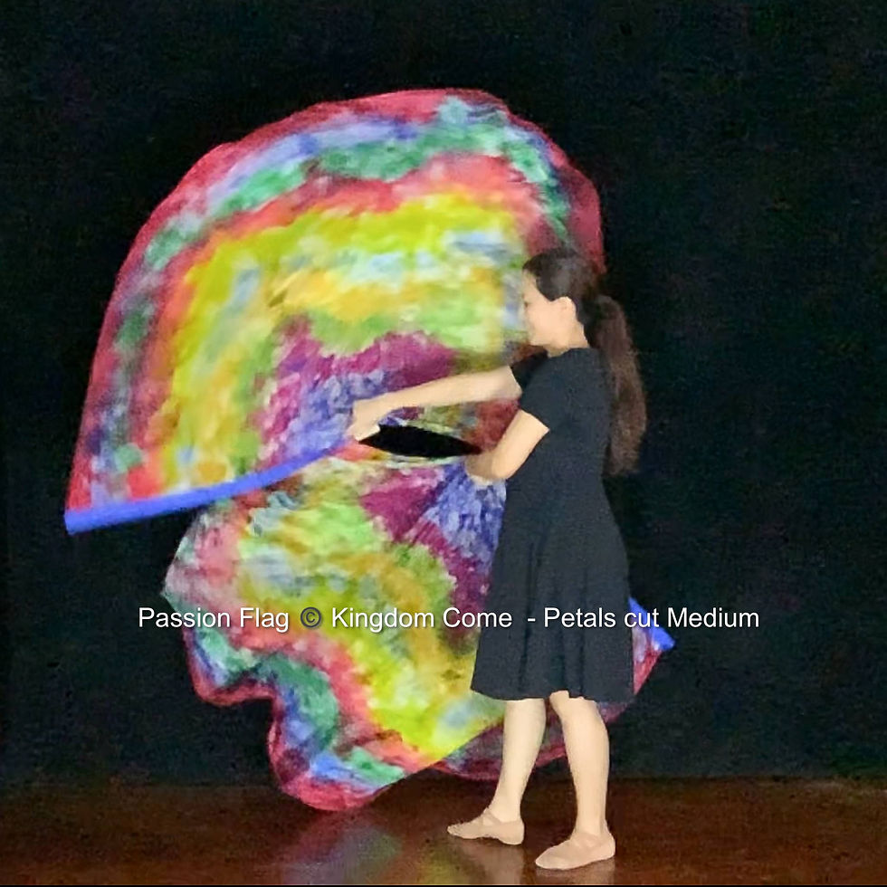 Thumbnail: Passion Flag Kingdom Come Worship flags praise dance handpainted artisan