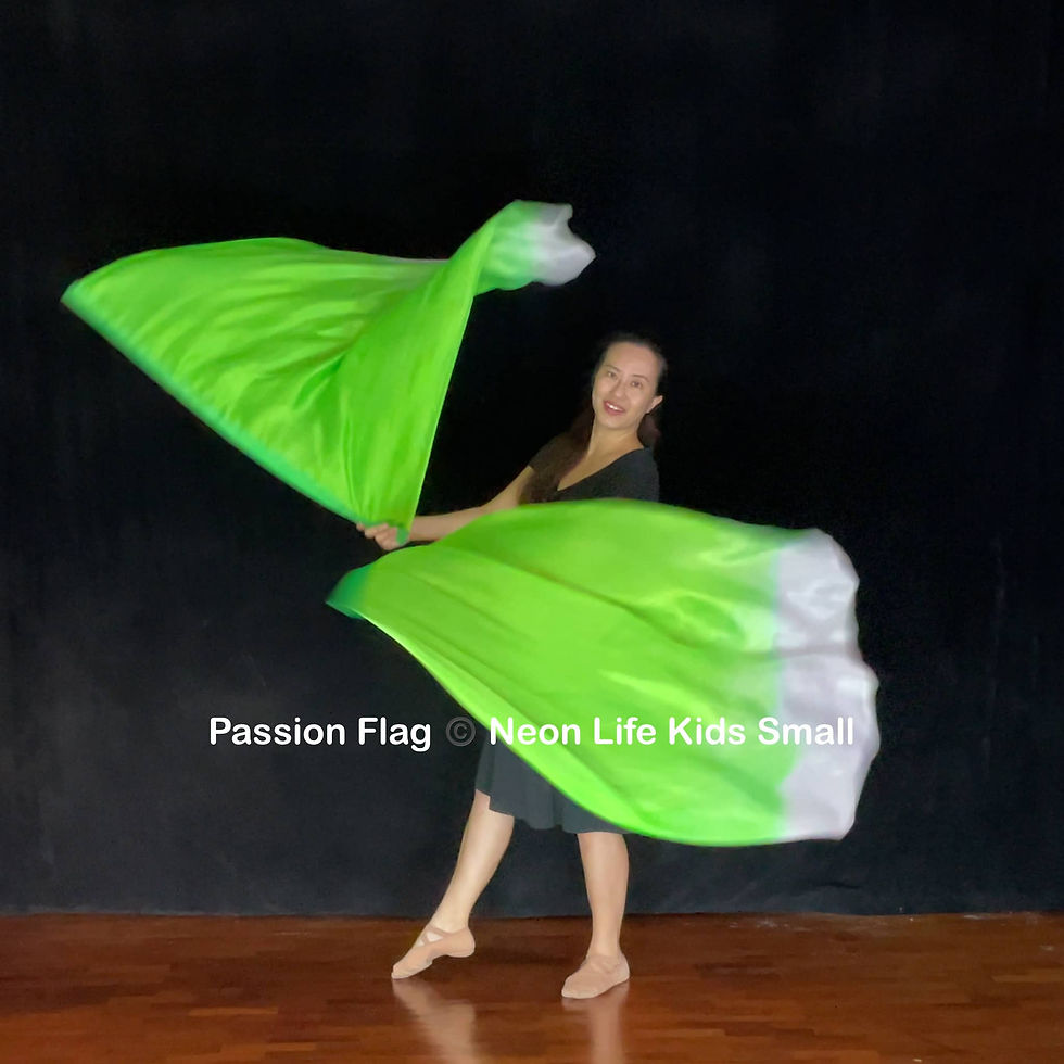 Passion Flag Neon Life kids small flag