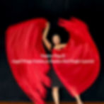 Passion Flag - Angel Wings Psalms 91 Passion Red – Single Layered silk flags praise and worship flags and banners