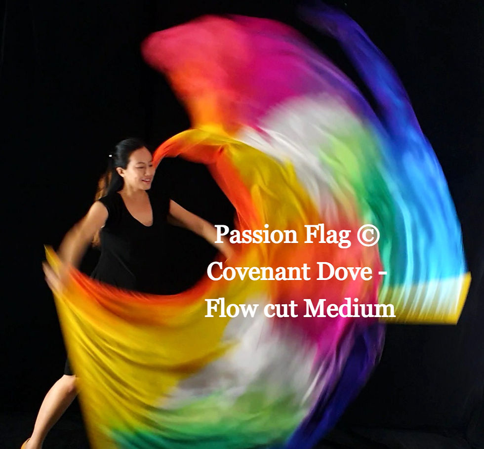 Thumbnail: Passion Flag - Covenant Dove - Hand painted silk praise and worship flags and banners Praise Dance