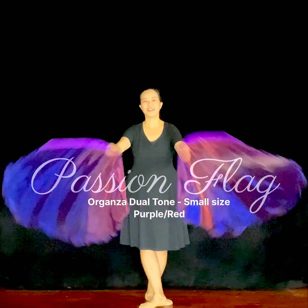 Passion Flag Organza Purple/Red dual tone Petals cut kids size small flags praise and worship flags and banners
