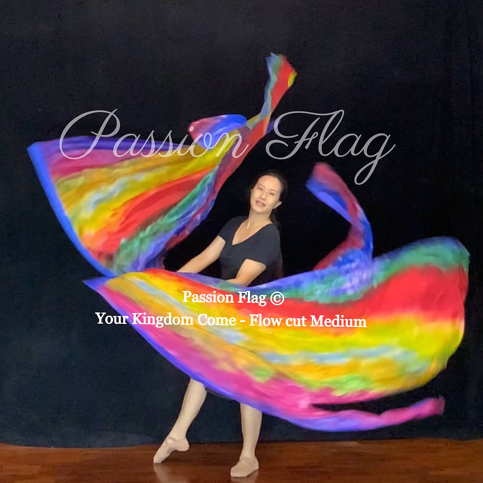 Thumbnail: Passion Flag Kingdom Come Worship flags praise dance handpainted artisan