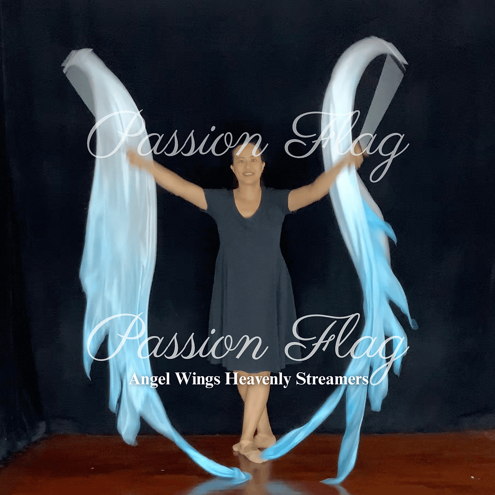 Passion Flag - Angel Wings Heavenly - Single Layered Silk Hand dyed streamers worship dance praise dance flags and banners