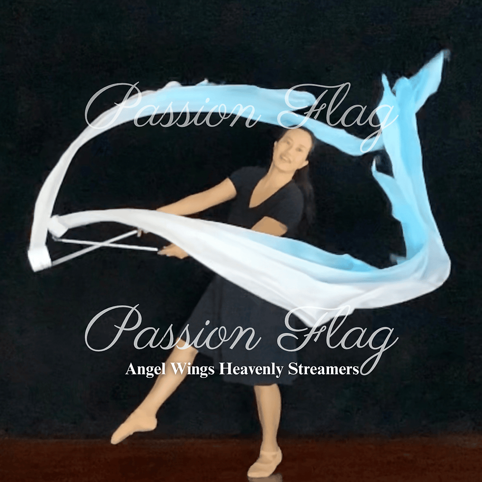 Passion Flag - Angel Wings Heavenly - Single Layered Silk Hand dyed streamers worship dance praise dance flags and banners