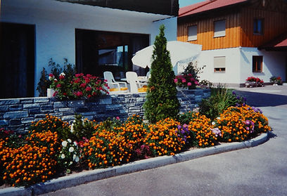 DSCN5338_edited.jpg