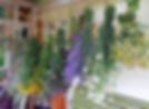 DSCN4494_edited.jpg
