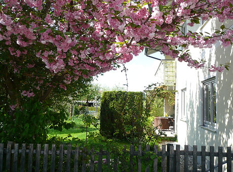 2012 mai neu 074.JPG