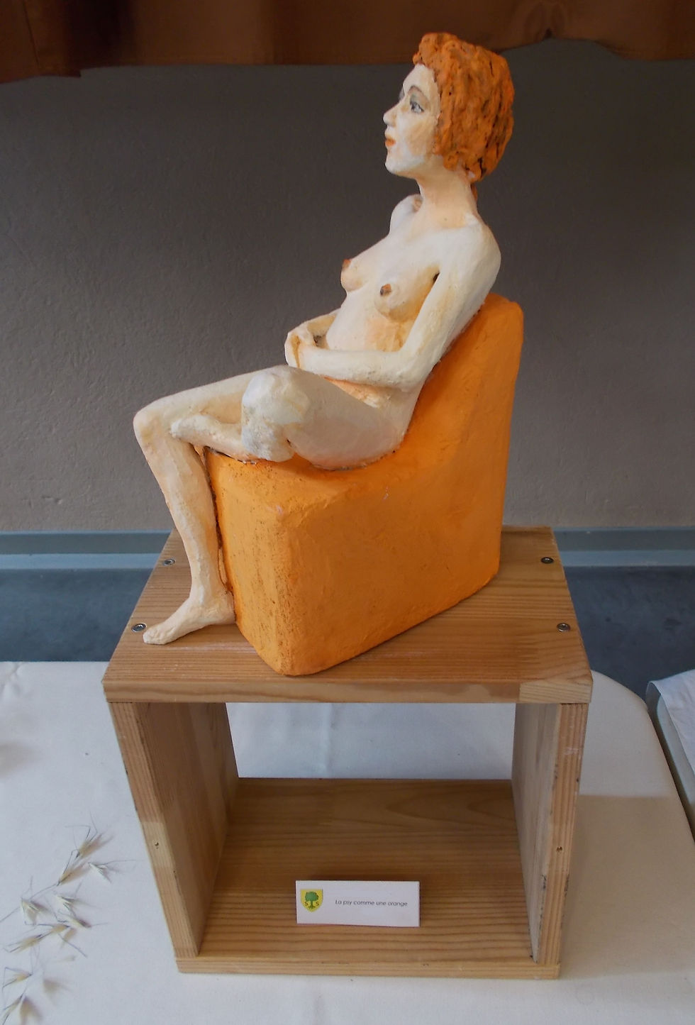 CFE - La psy comme une orange