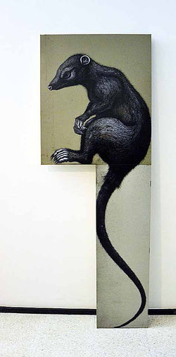 "DIDELPHIS VIRGINIANA"