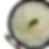 Plain Rice