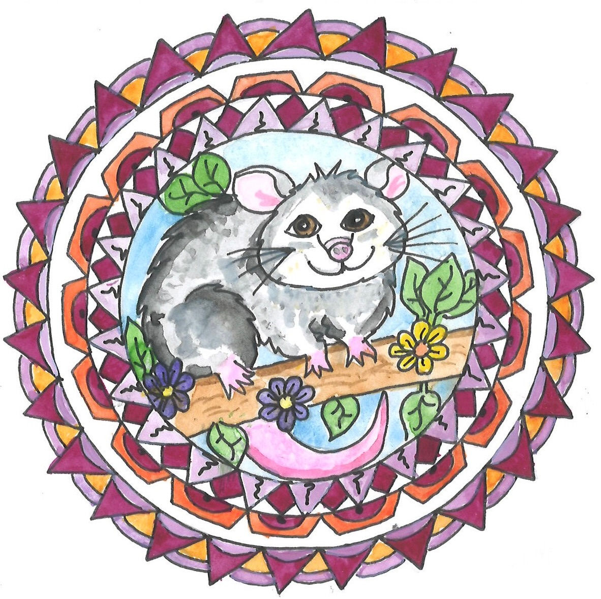 Possum 4