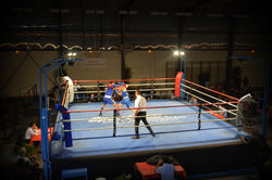 location ring| Gala tremblay