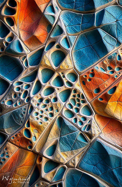 Buy Limited Edition FINE ART PRINTS of unique ABSTRACT ART by Wynand du Plessis