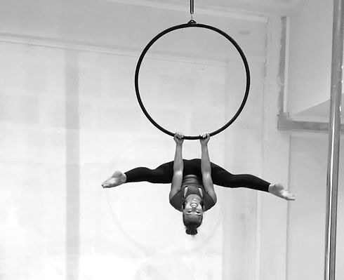 Aerial hoop.jpg