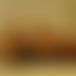 ממולאים לט"ו בשבט