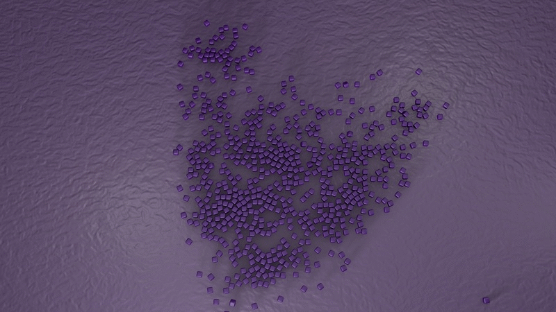 Mograph