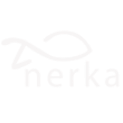 Logo projet web Serviette Nerka