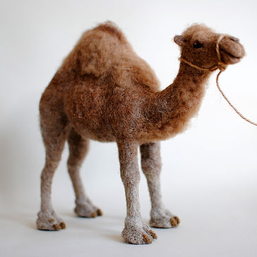 Tekla camel (15)72DPI.JPG