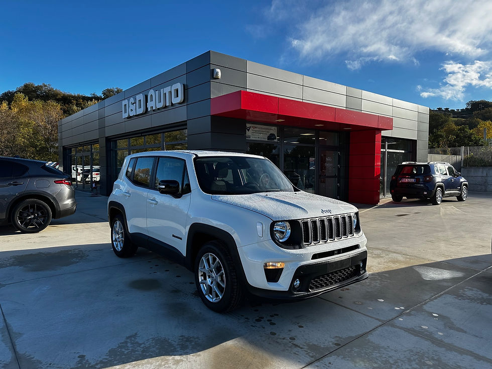 JEEP RENEGADE 1.6MJ 130CV