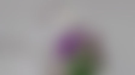 濃茶付き花月(各服点)