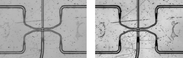 high phase contrast microfluidics microscopy, microchannels