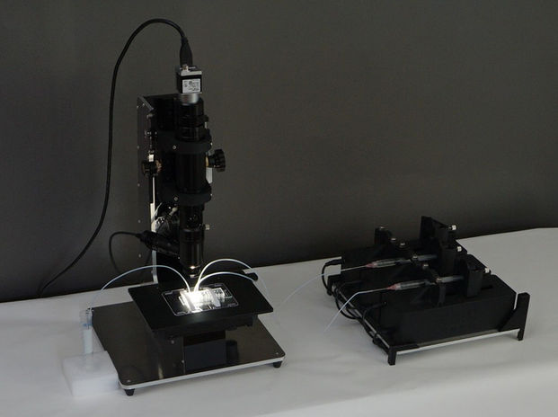 mikroscope and pumps.JPG