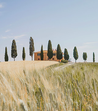 melina-kiefer-2eI1rYkSC6k-unsplash_edite