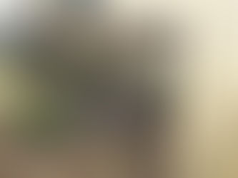 A reforma do imóvel 