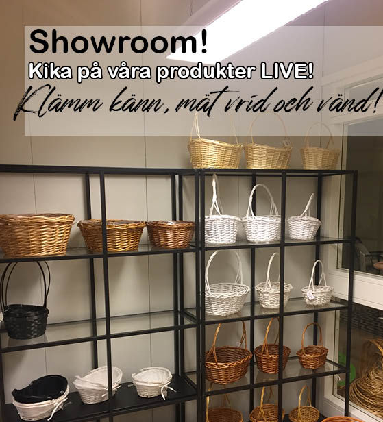 showroom.jpg