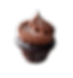 double chocolate cupcake
