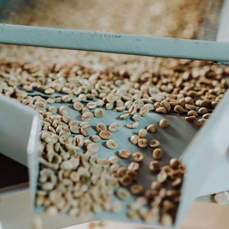 Cafetelier em números