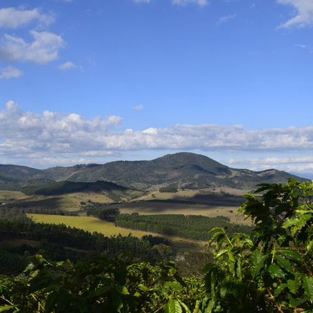 Denominação de Origem Mantiqueira de Minas