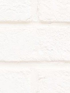 sfondo trasparenza.jpg