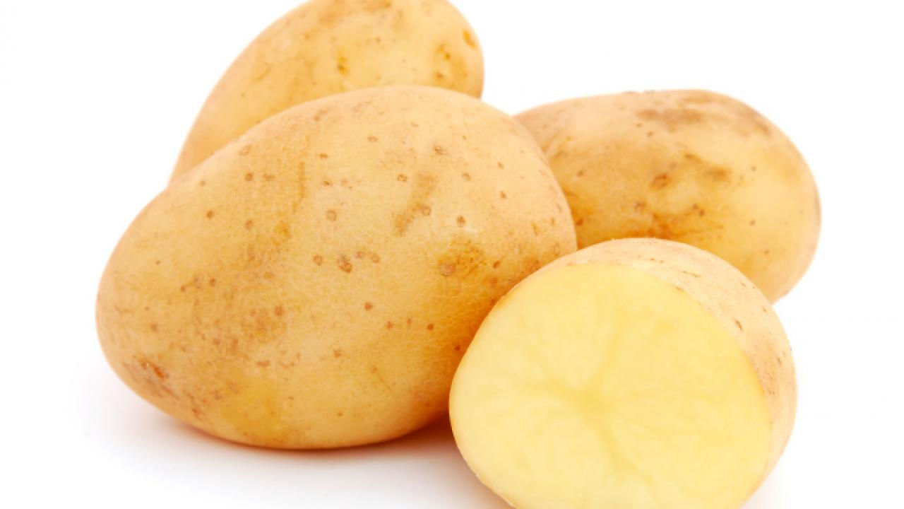 Papa blanca / Potato