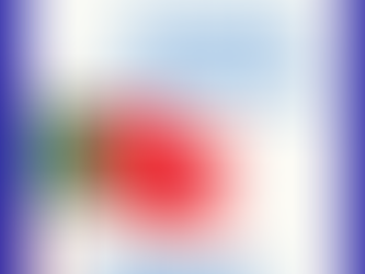 Portugal. SEF: serviço on line.