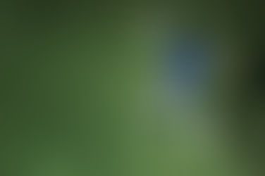 Ampliada validade de certidões de exigidas de entidades desportivas