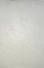IMG_6945.jpeg