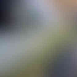 Pinstriping sur Mustang