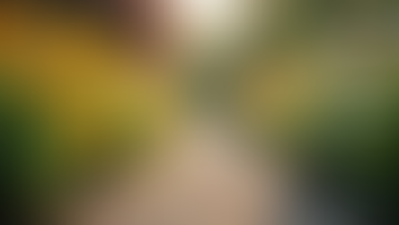 sidewalk wiht flowers