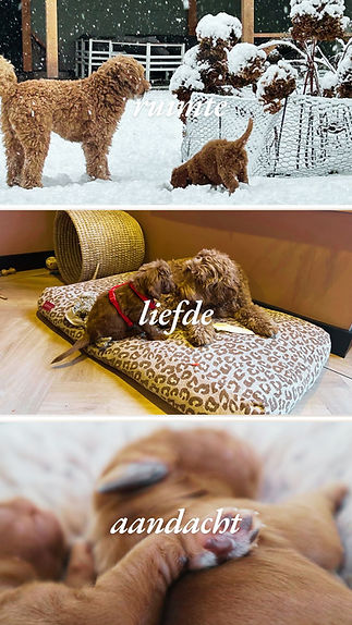 Neutral Minimal Flower Bouquet Photo Collage Your Story.jpg