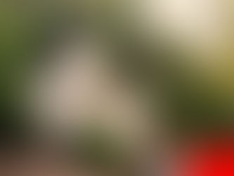 Presidenza del Consiglio dei Ministri - Dipartimento per le Politiche della Famiglia - Finanziato il nostro progetto per il Comune di Montagnareale