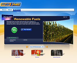 Renewable Fuels activity
